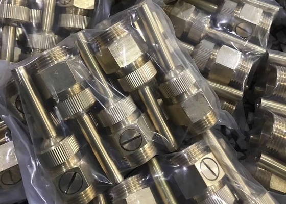 os bocais de bronze da fonte da tomada da água de 20mm jorram o projeto DN50 gráfico