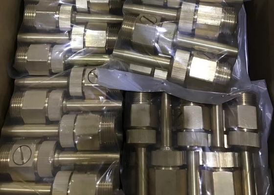 os bocais de bronze da fonte da tomada da água de 20mm jorram o projeto DN50 gráfico
