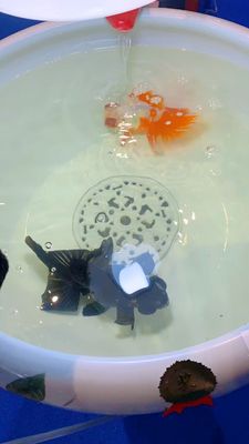 Bacia cerâmica chinesa dos peixes do teste padrão 520mm da peônia com lâmpada