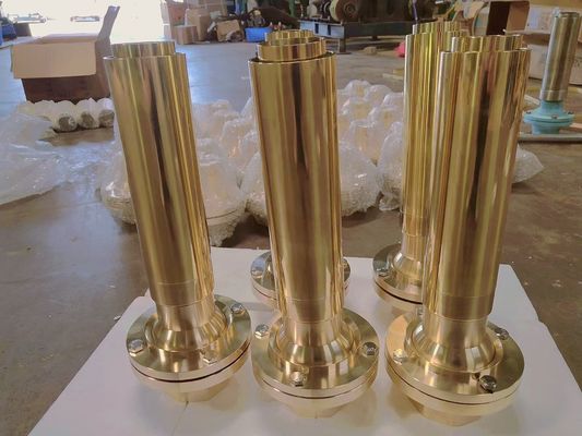bronze de 2.0m FNPT inteiramente bocal da fonte de 2 polegadas
