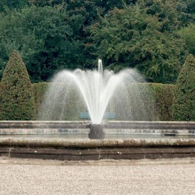 2" inteiramente cabeça de sistema de extinção de incêndios da lagoa da flor das séries do bronze 4