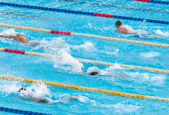 divisores da pista da piscina de 25m