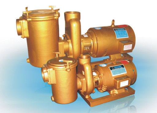 Bombas de água de bronze da piscina 3HP