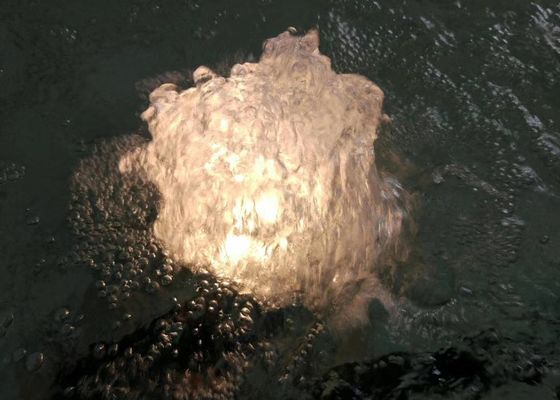 80 L/M fonte Jet Nozzle With Lamp de uma dança de 1 polegada