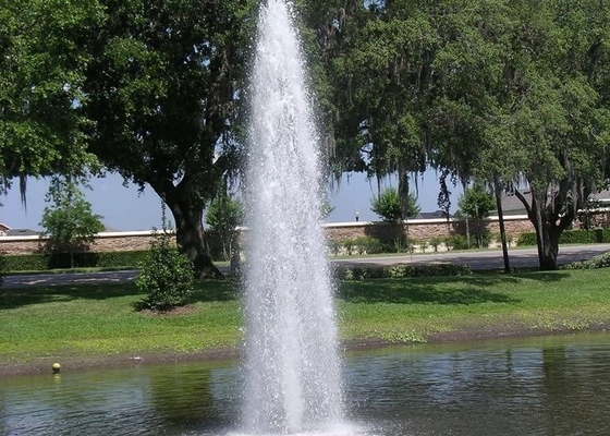 Fonte de água de aço inoxidável Jet For Swimming Pool da torre DN80 do gelo
