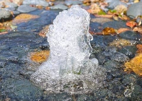ROHS 3/4" bocal do bebedoiro automático da fonte DN20 para a piscina
